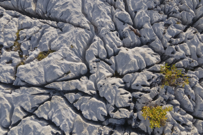 Lapiaz - détail - Parmelan (vue aérienne)